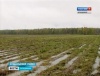 Владимирская область. В регионе объявлен режим ЧС из-за гибели урожая